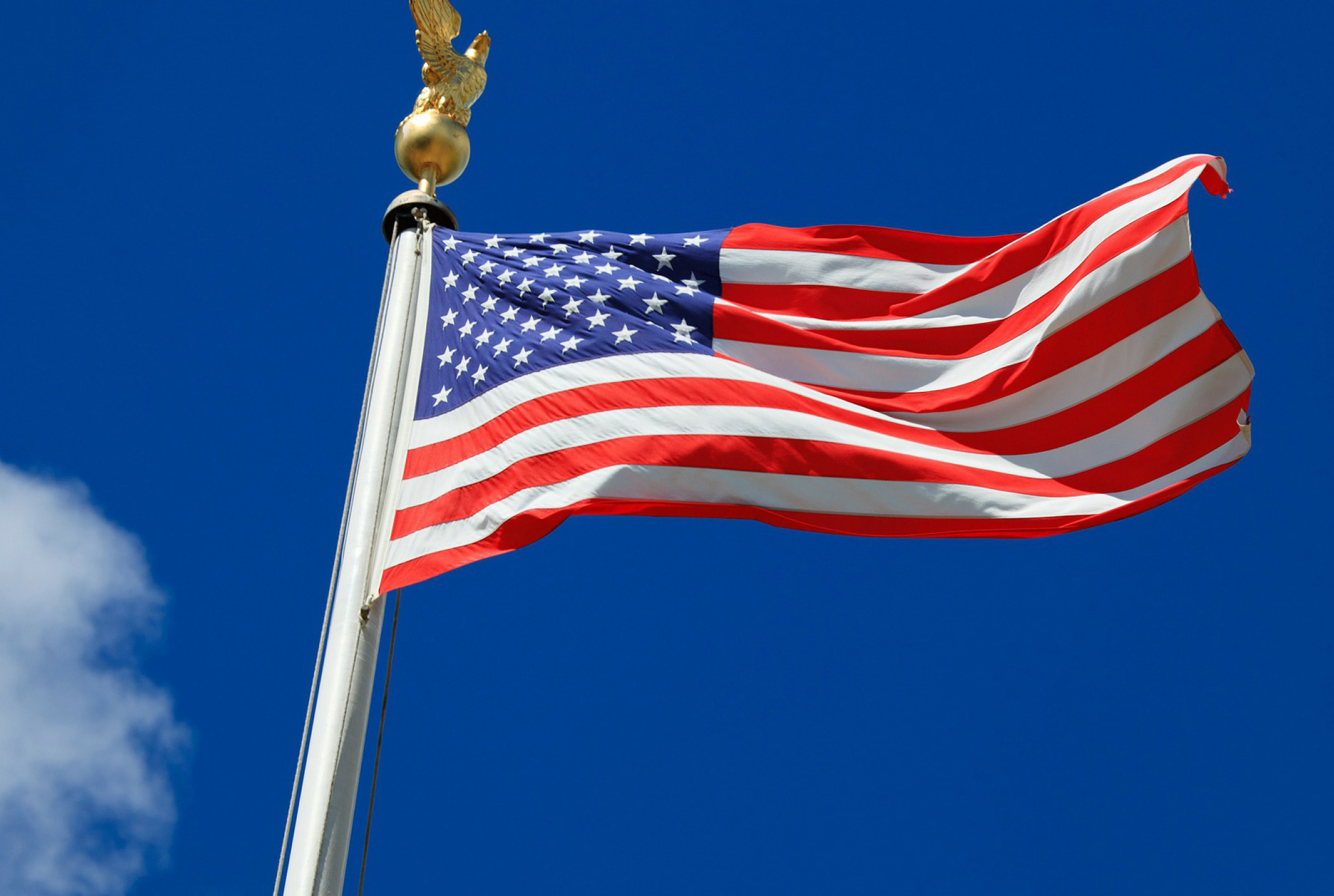 government regalia american flag